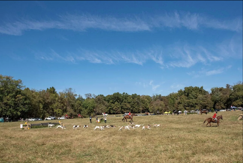 Clippinger Field